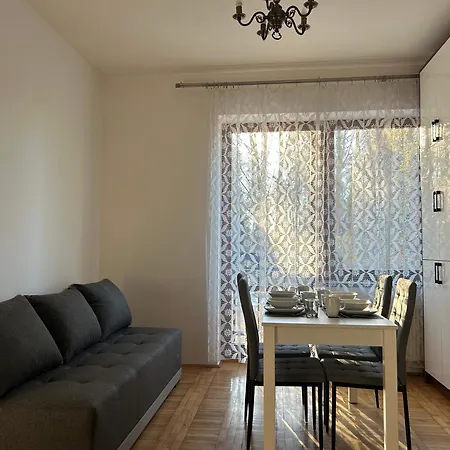 Apartment Ludzmierska *