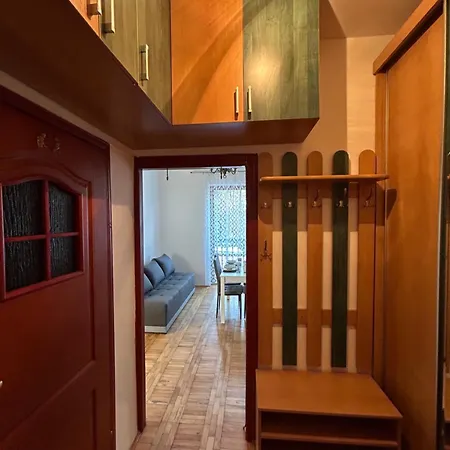 Apartment Ludzmierska *